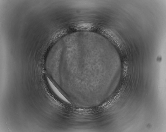 X0000098180641200805081025