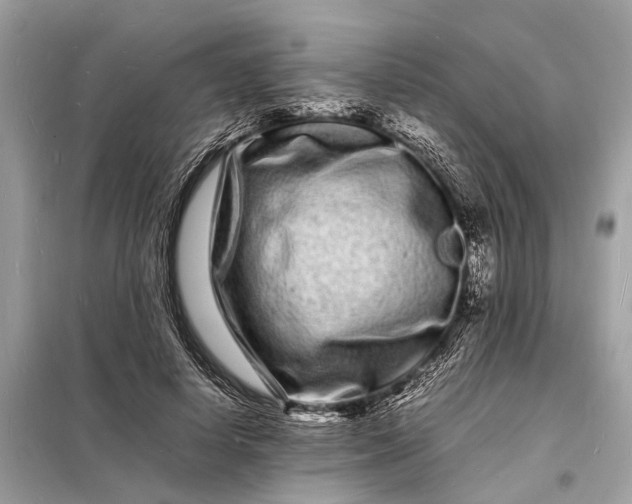 X0000098180642200805081025