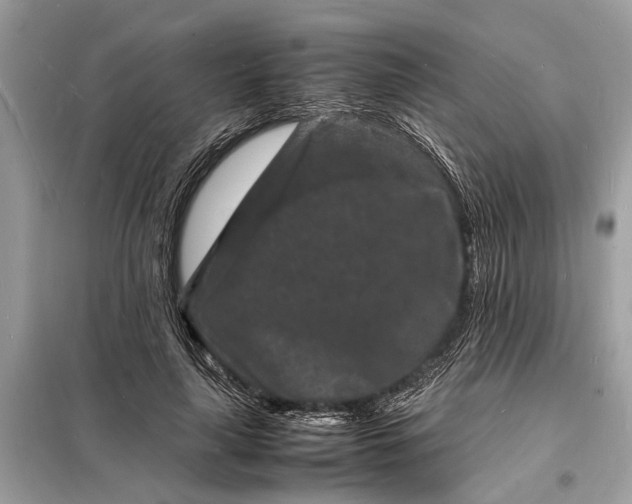 X0000098180643200805081025