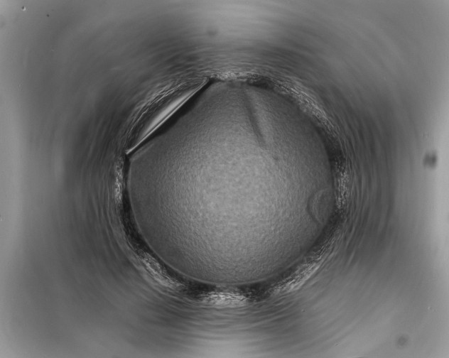 X0000098180644200805081025