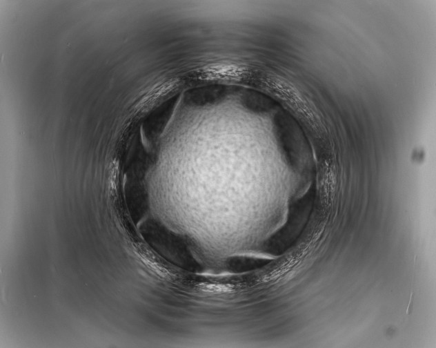 X0000098180649200805081025