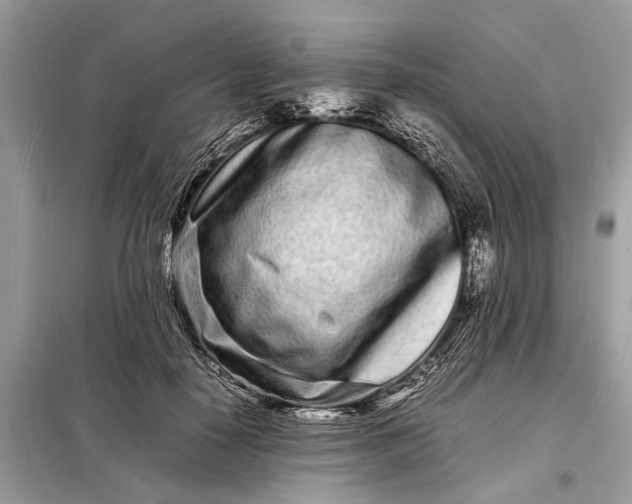 X0000098180650200805081025