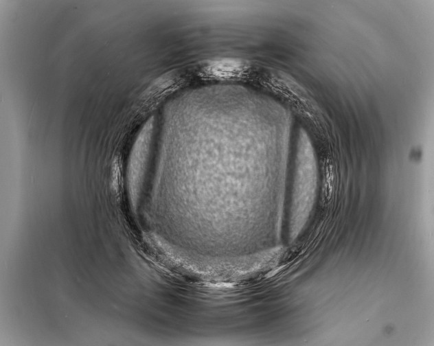 X0000098180651200805081025