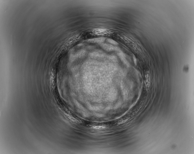 X0000098180653200805081025