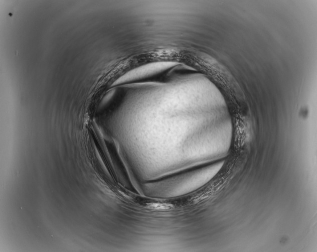 X0000098180654200805081025