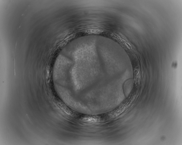 X0000098180655200805081025