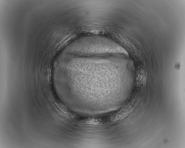 X0000098180656200805081025