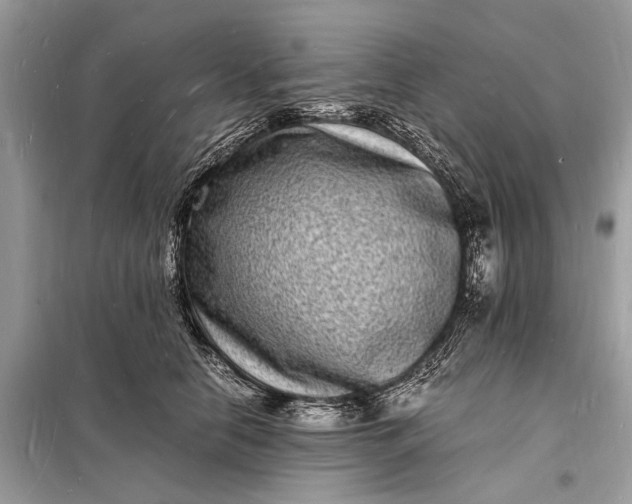 X0000098180658200805081025