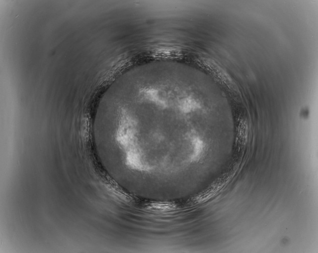 X0000098180659200805081025