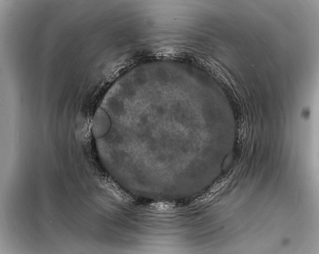 X0000098180660200805081025