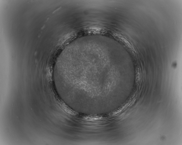 X0000098180661200805081025