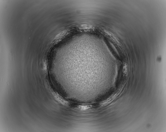 X0000098180662200805081025