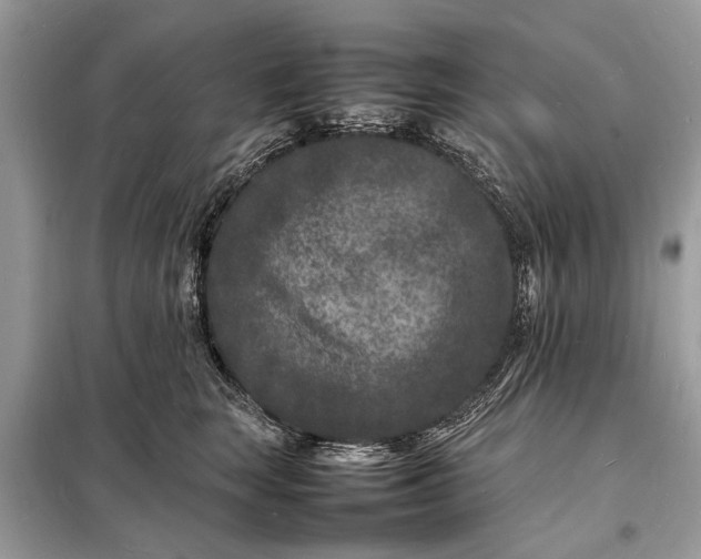 X0000098180663200805081025