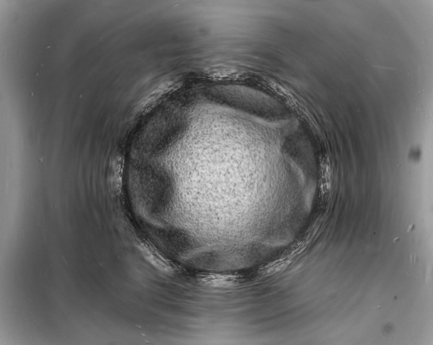 X0000098180664200805081025