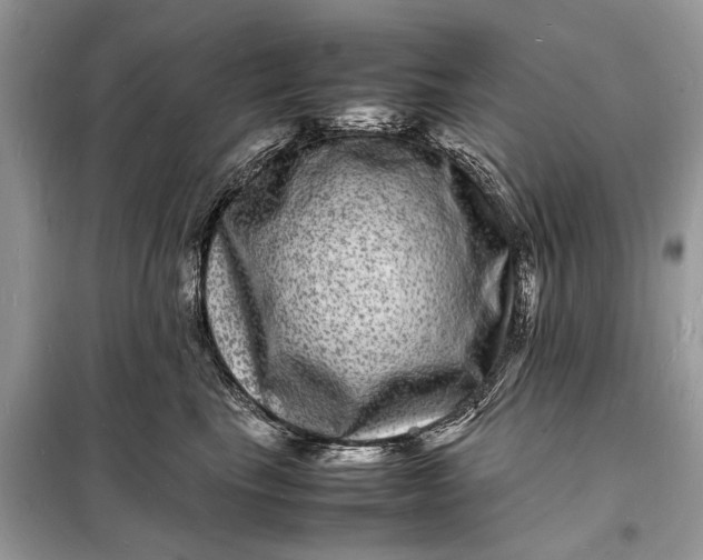 X0000098180665200805081025