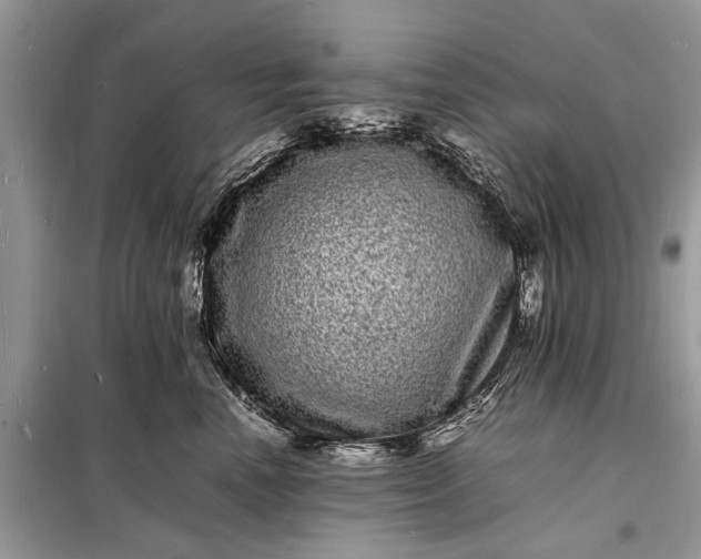 X0000098180666200805081025