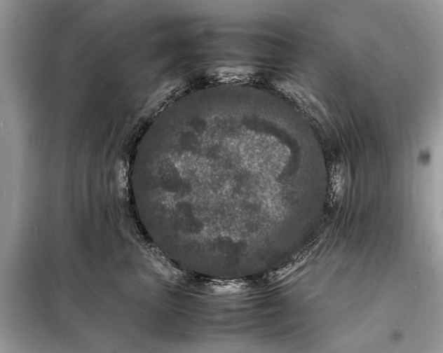 X0000098180667200805081025