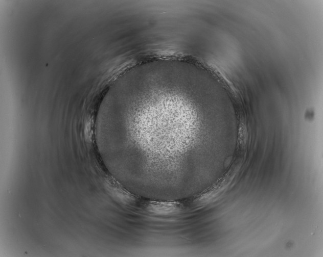 X0000098180671200805081025