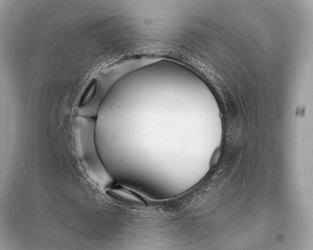 X0000098180673200805081025