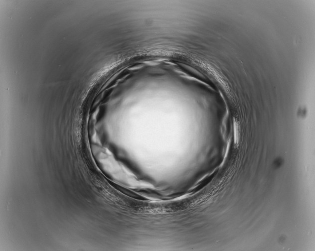 X0000098180675200805081025