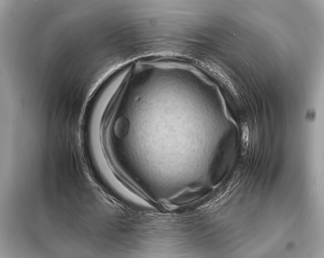 X0000098180676200805081025