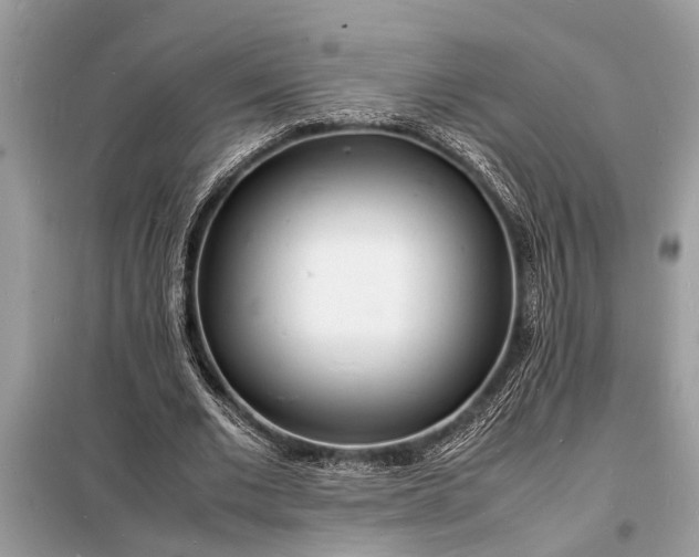 X0000098180677200805081025