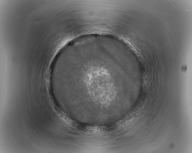 X0000098180679200805081025