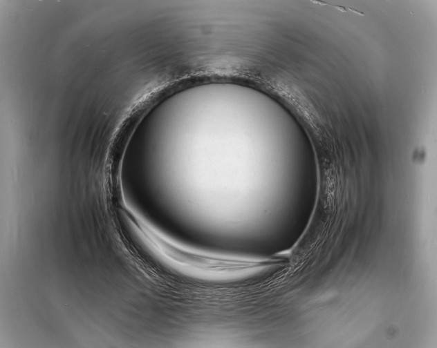 X0000098180680200805081024