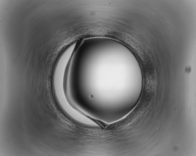 X0000098180681200805081024