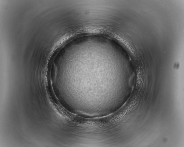 X0000098180682200805081024