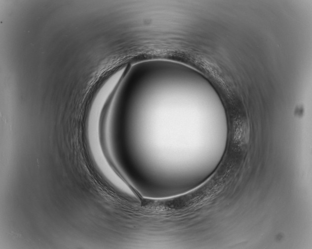 X0000098180685200805081024