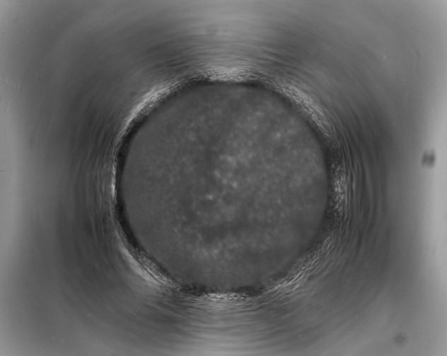 X0000098180686200805081024