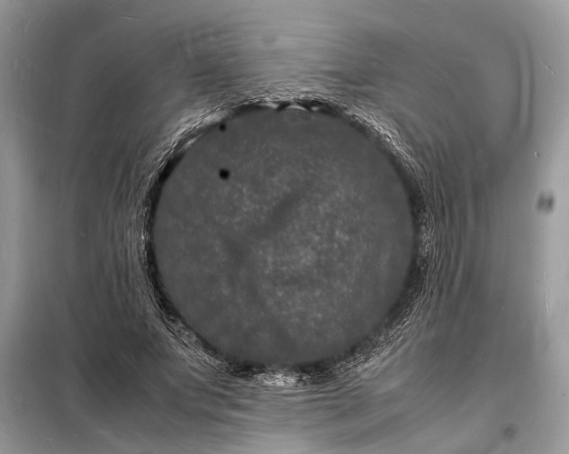 X0000098180687200805081024