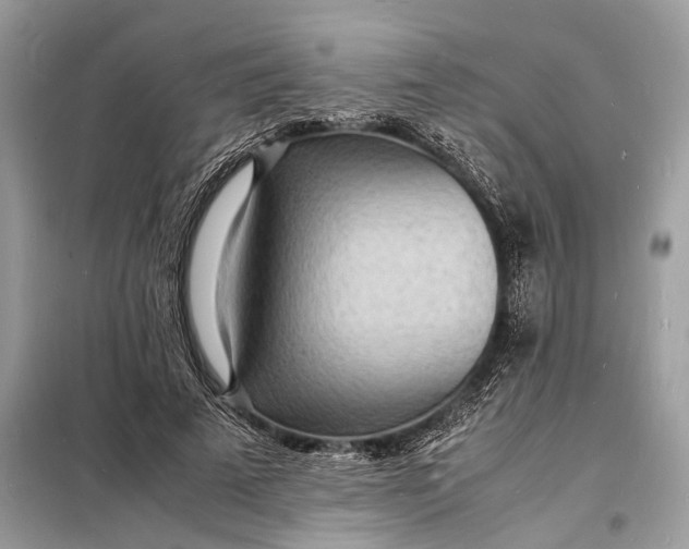 X0000098180689200805081024