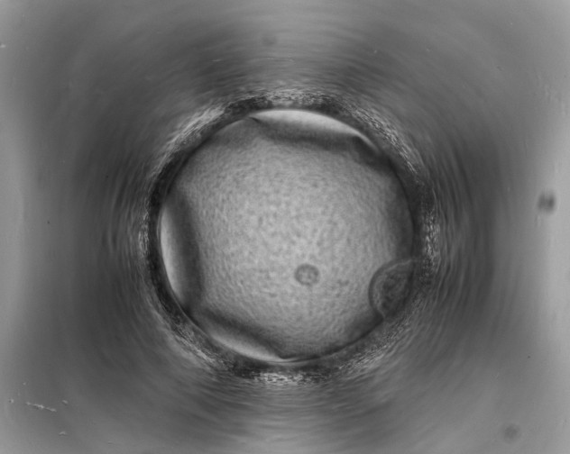 X0000098180690200805081024