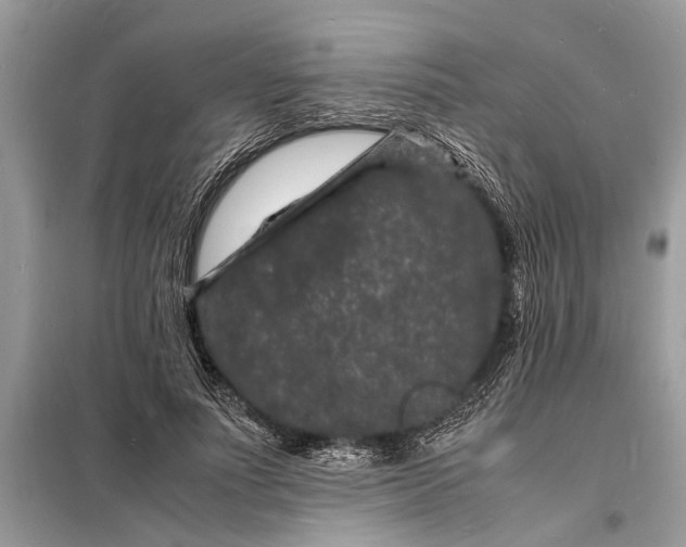 X0000098180691200805081024