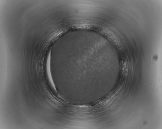 X0000098180692200805081024