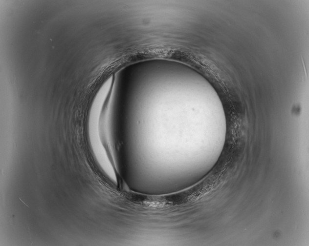 X0000098180693200805081024