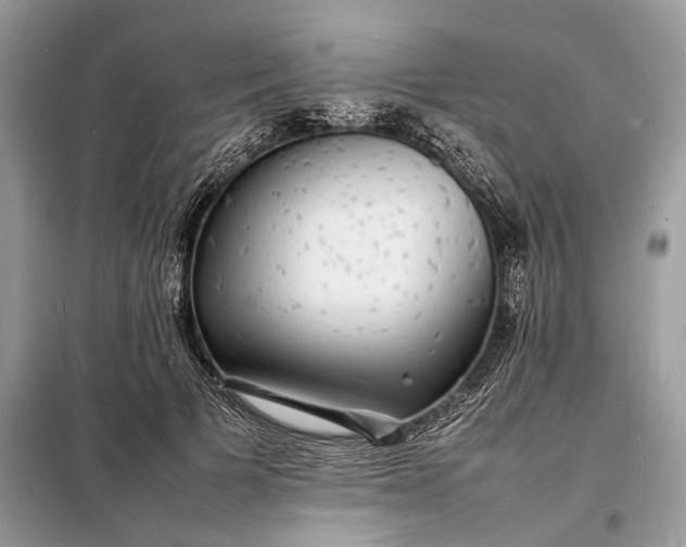 X0000098180697200805081024