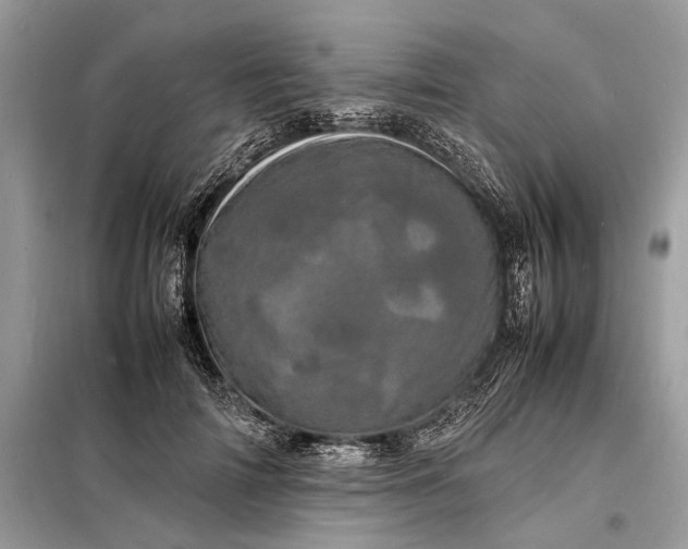 X0000098180698200805081024