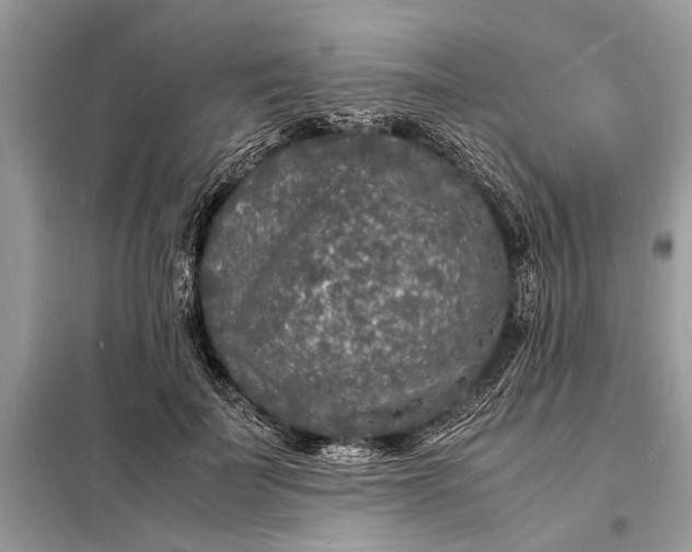 X0000098180699200805081024