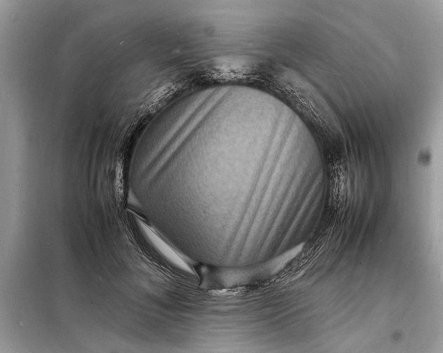 X0000098180700200805081024