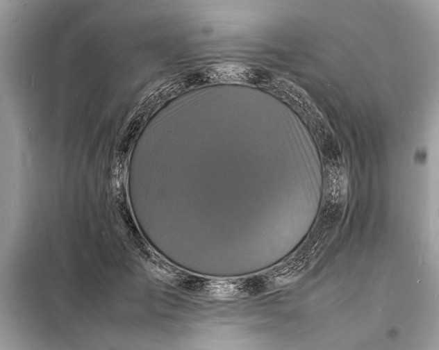 X0000098180701200805081024