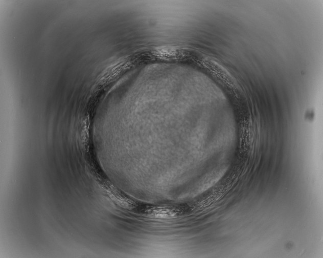 X0000098180702200805081024