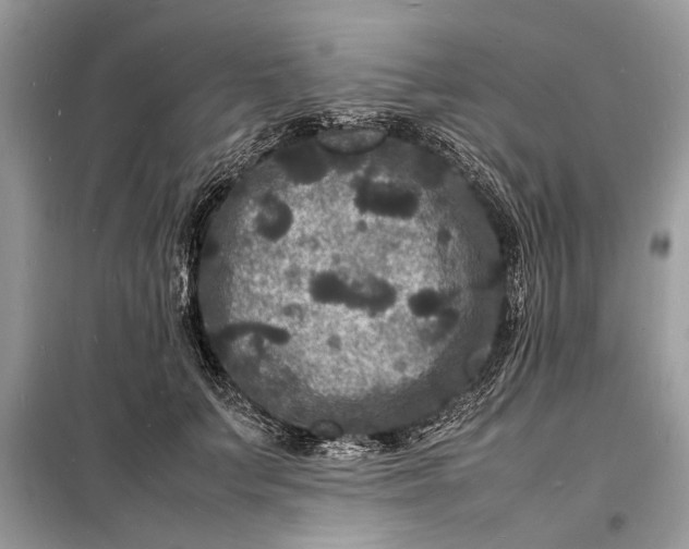 X0000098180703200805081024