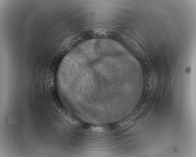 X0000098180706200805081024