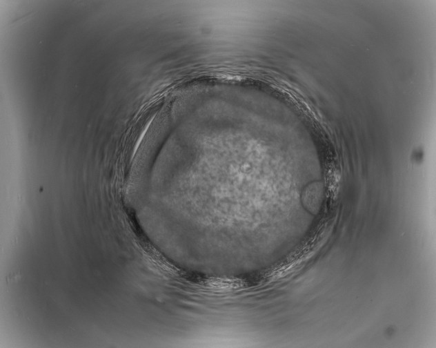 X0000098180707200805081024