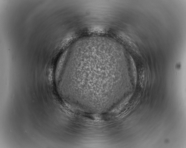 X0000098180708200805081024