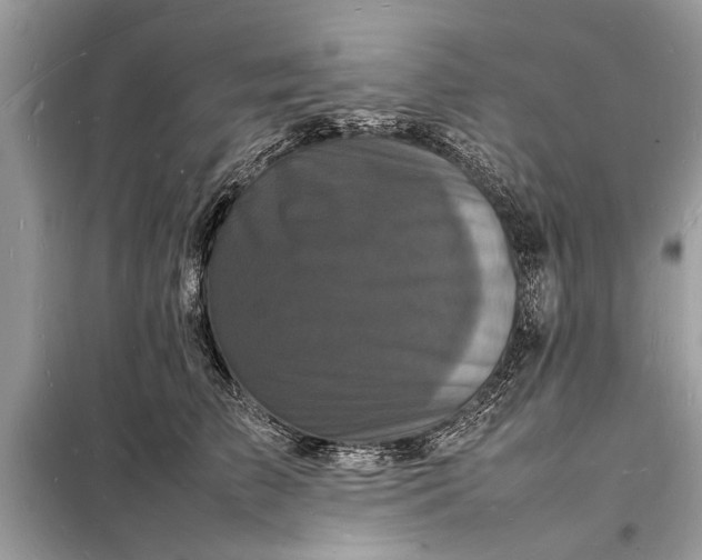 X0000098180709200805081024