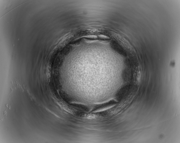 X0000098180710200805081024